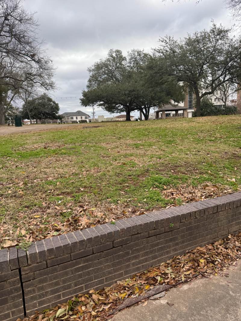 walking near me in Smith Park in spring