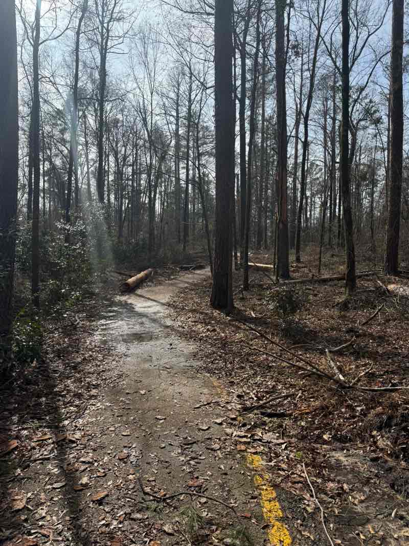 walking near me in Botanical Garden Trail in winter