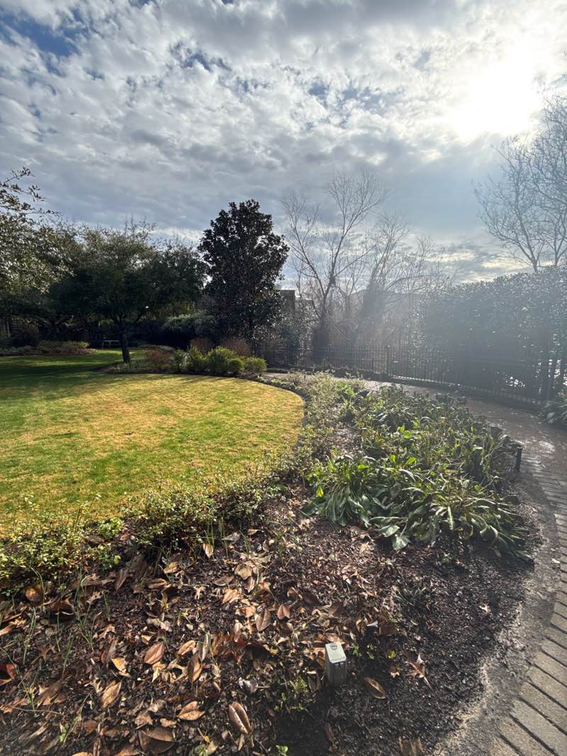 walking near me in Jackson Art Park in winter