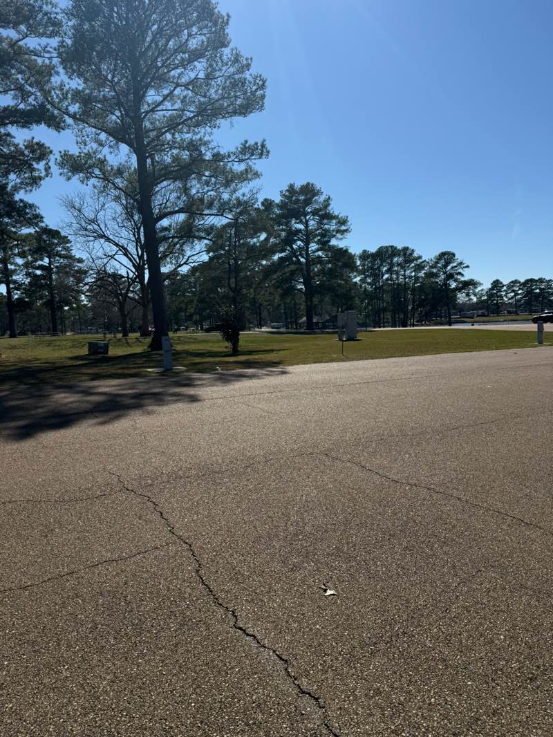 walking near me in Lakeshore Park in winter