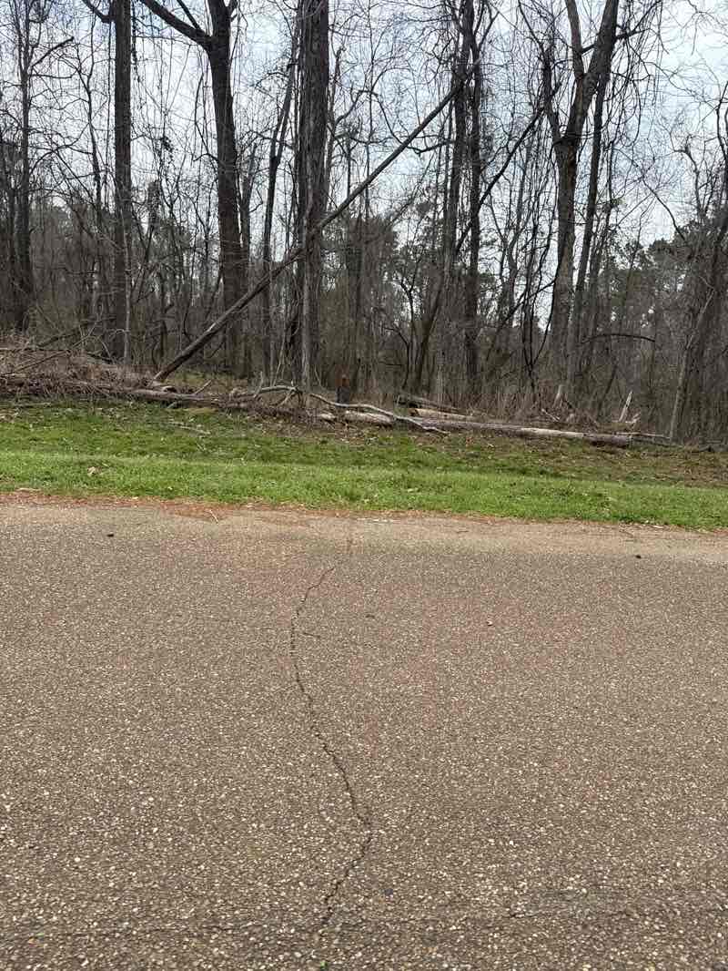 walking near me in Natchez State Park in spring