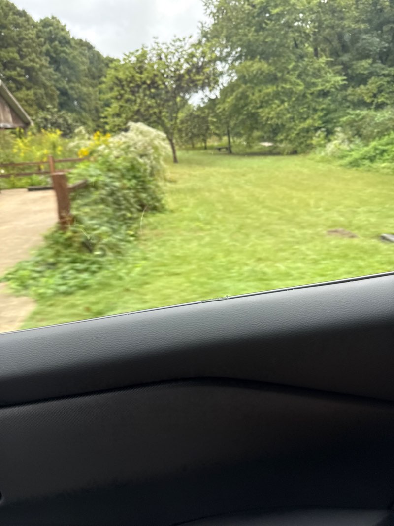 walking near me in Greenville Cypress Preserve in autumn