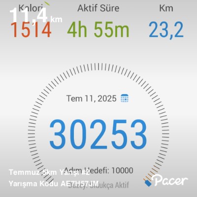 January 5k Race #2 Sefa post image