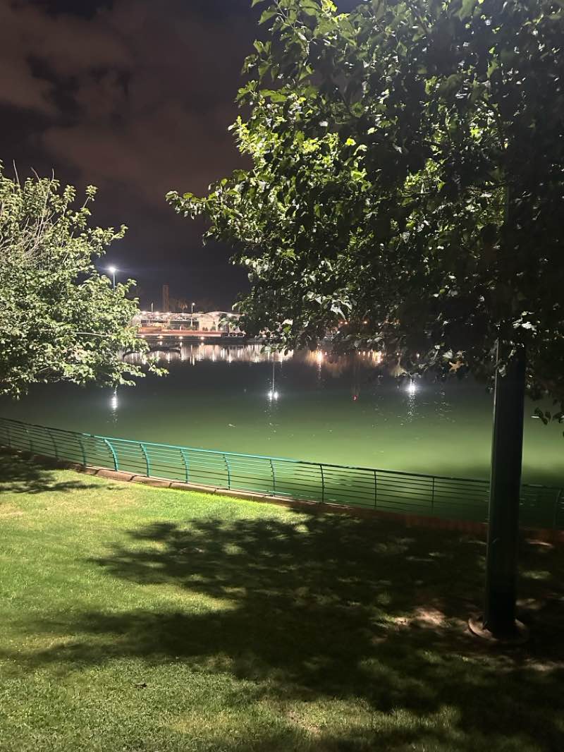 walking near me in Shmuel Tamir in autumn