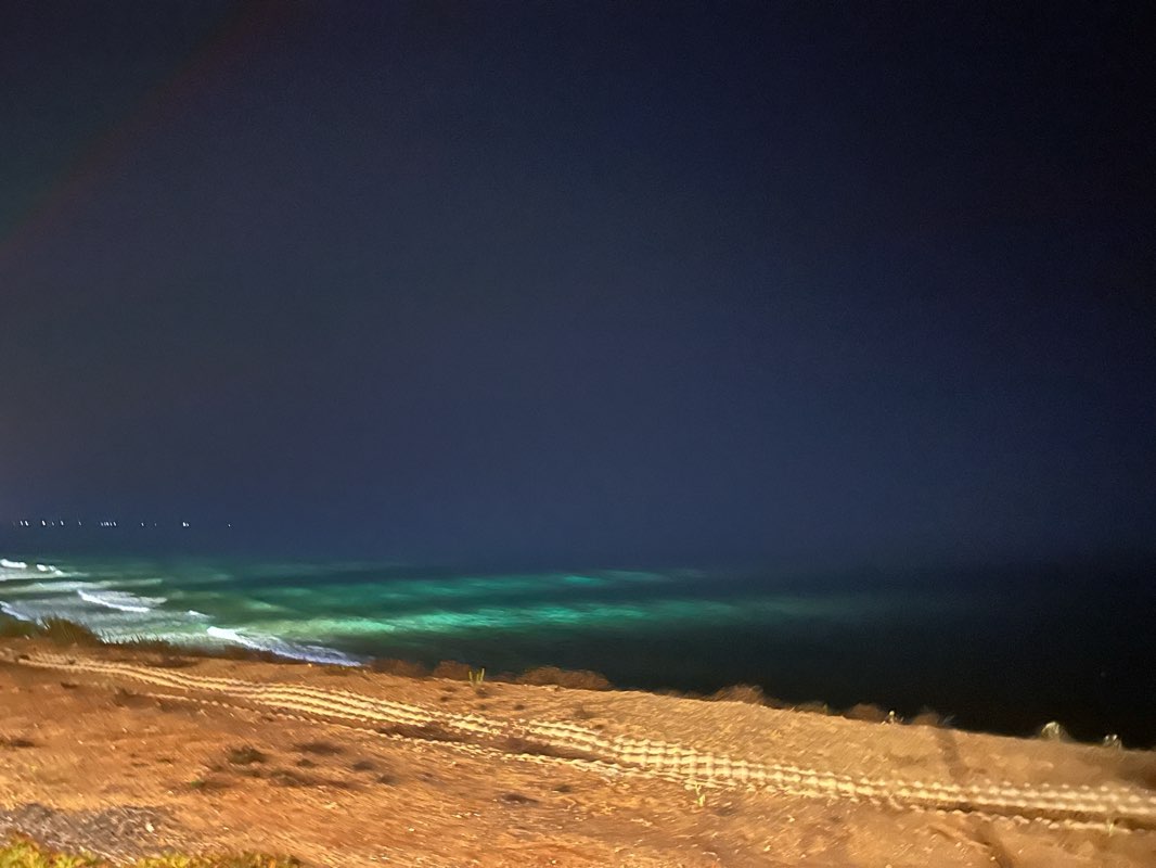 walking near me in גן העיר in autumn