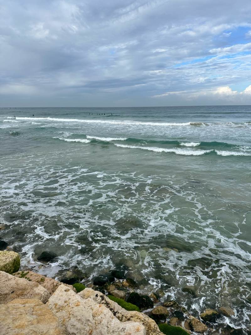 walking near me in The Track Park in winter