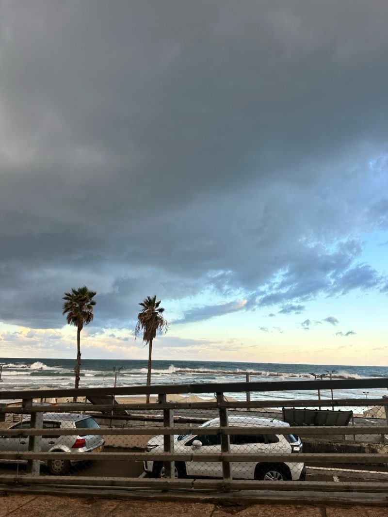walking near me in The Independence Park in winter