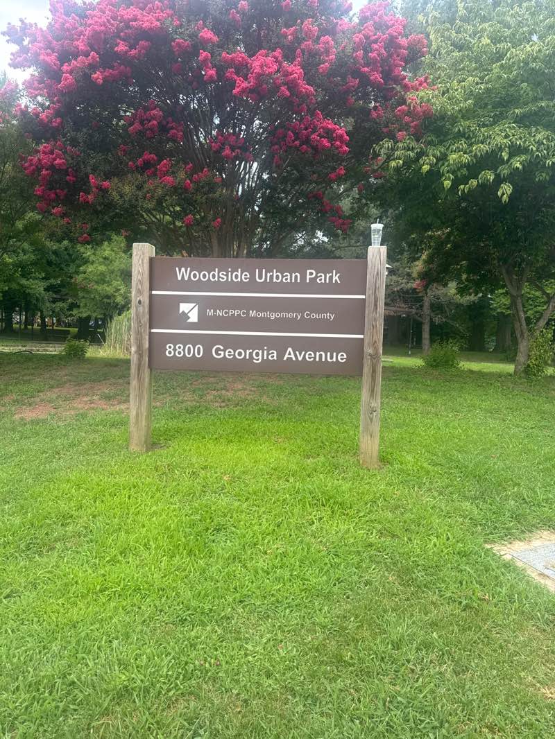 walking near me in Woodside Park in summer