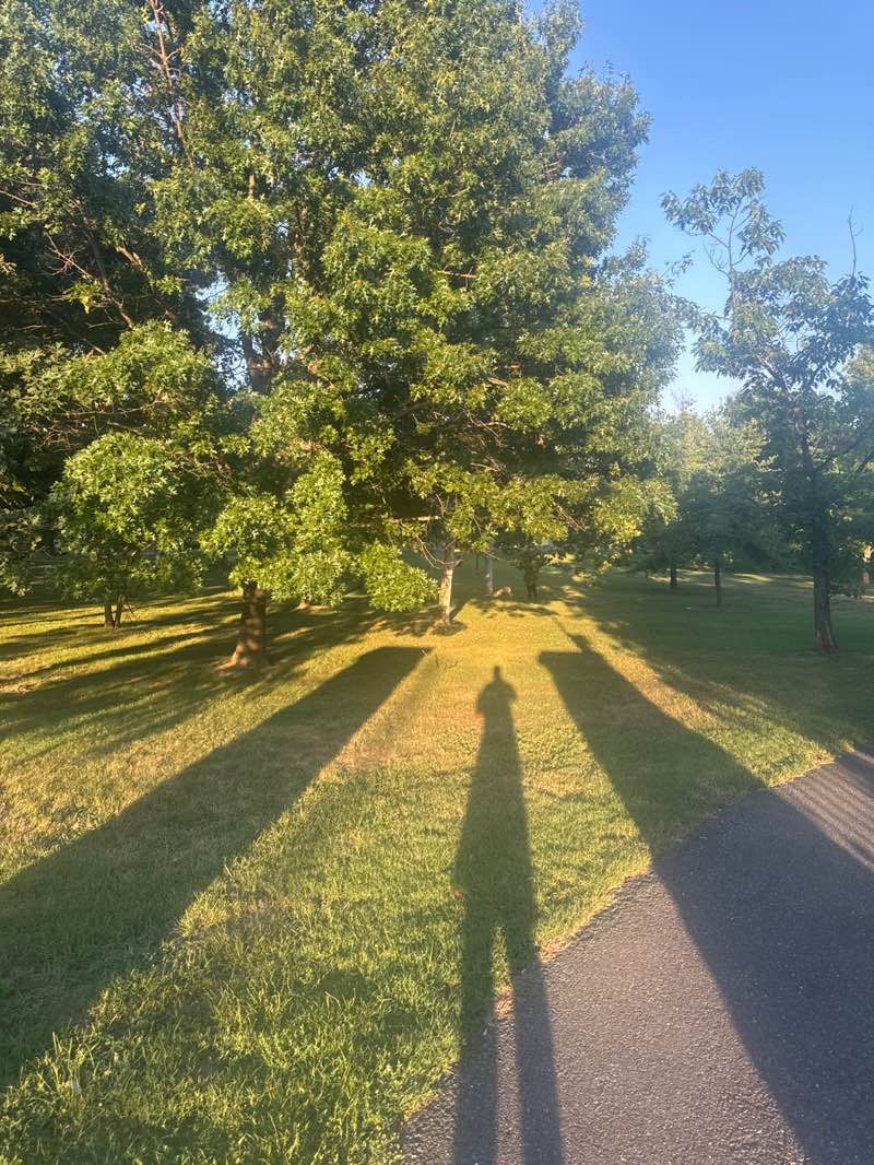 walking near me in Jessup Blair Park in summer