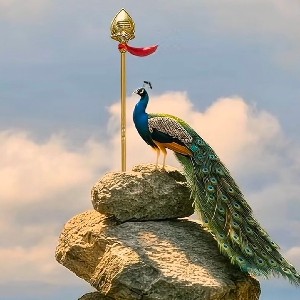 OOM .N 💓👍🏃 profile