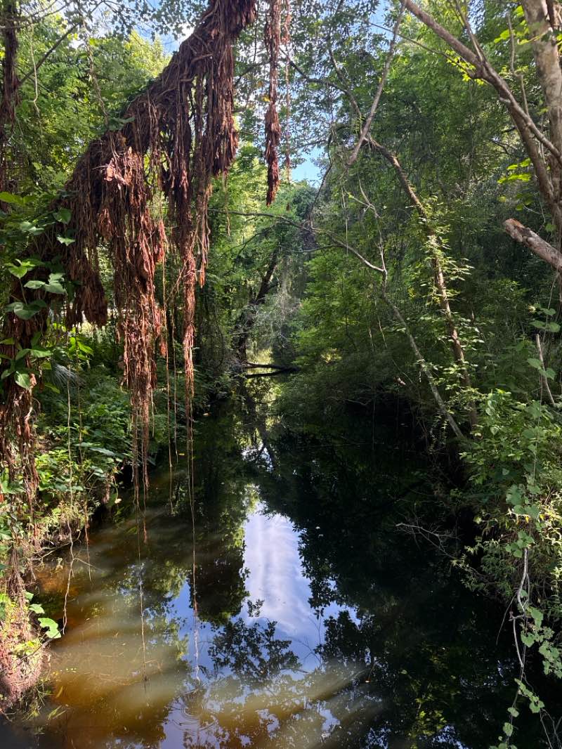 walking near me in Blanchard Park in summer