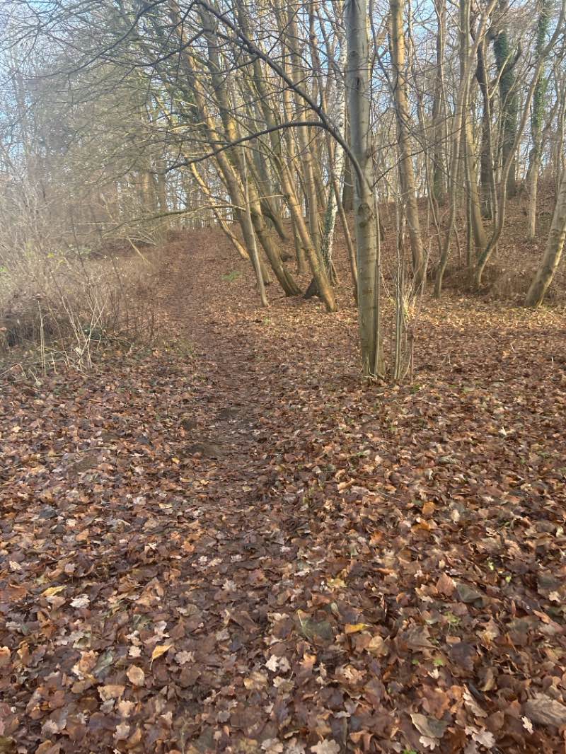 walking near me in Park Sachsenberg in winter