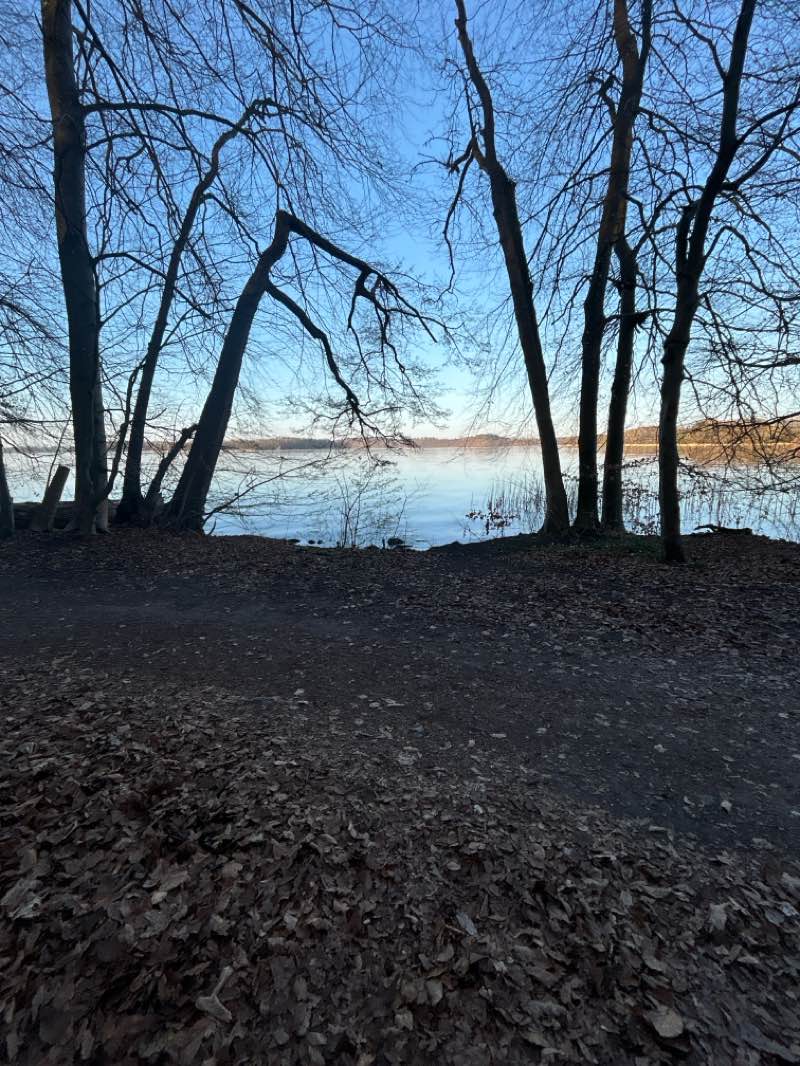 walking near me in Grünes Tal in spring