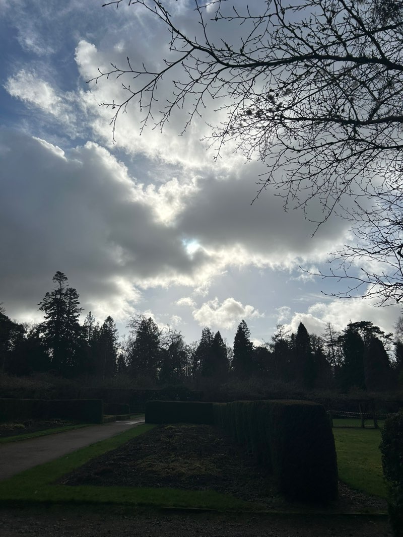 walking near me in Balloch Castle Country Park in winter