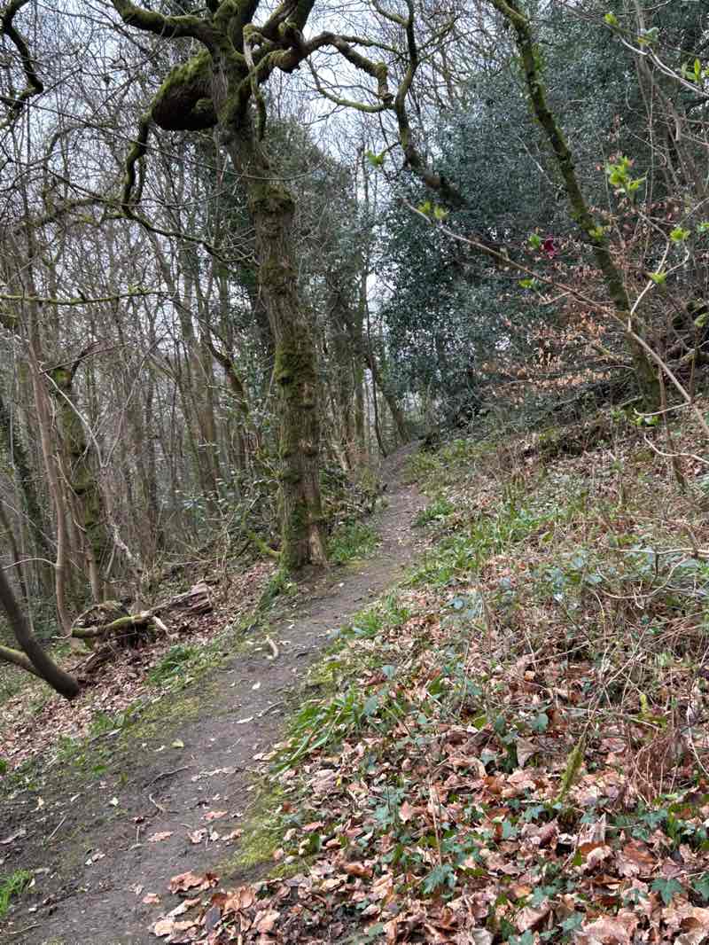 walking near me in Christie Park in spring