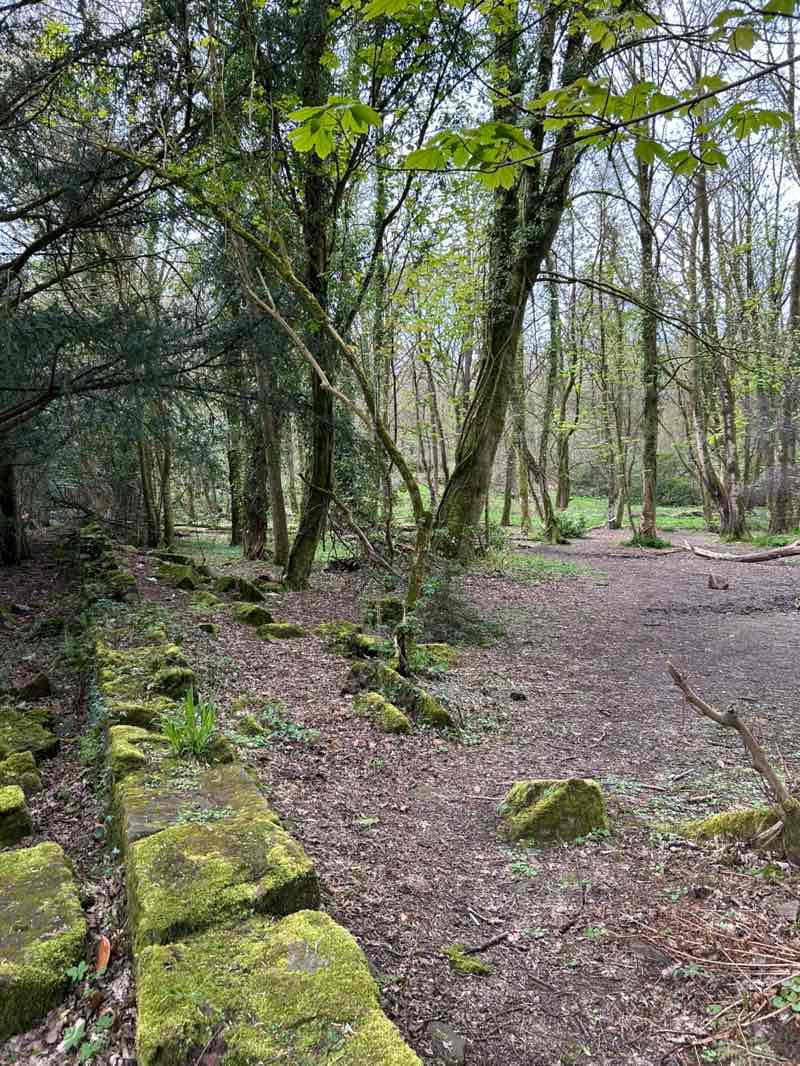 walking near me in Christie Park in spring