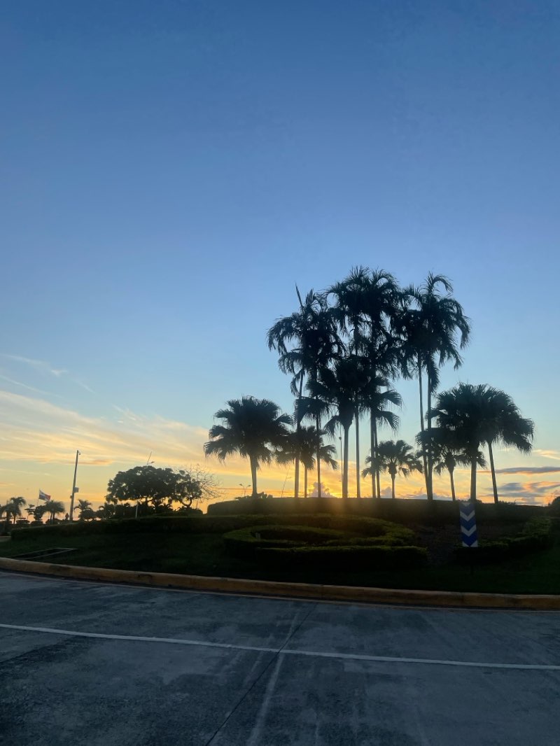 walking near me in Parque Urracá in winter