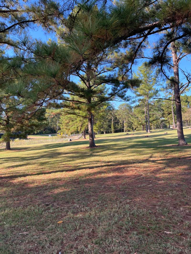 walking near me in Old Trace Park in autumn