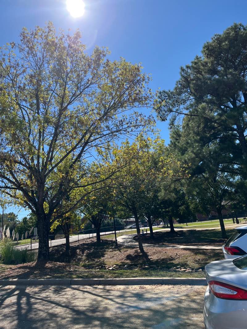 walking near me in Winner's Circle Park in autumn