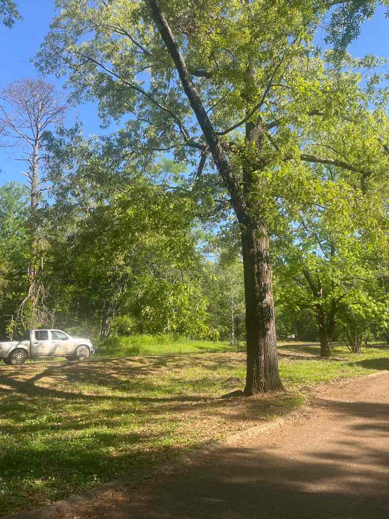 walking near me in Natchez Trace Parkway Information Cabin in spring