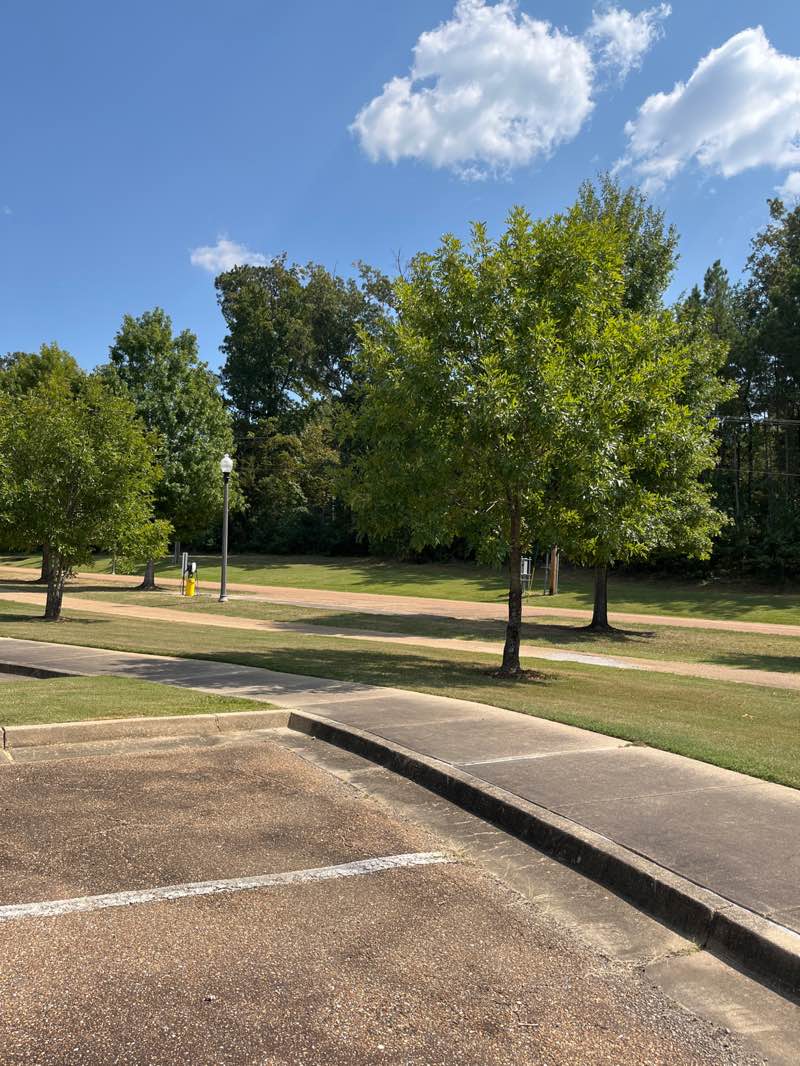 walking near me in Brighton Park in autumn