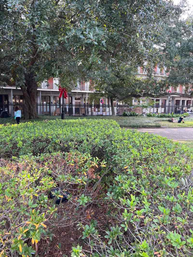 walking near me in Jackson Square in winter