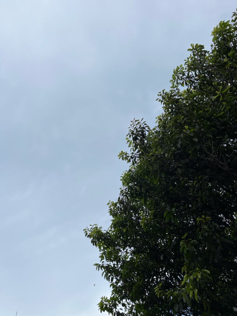 walking near me in Janggan Park in autumn