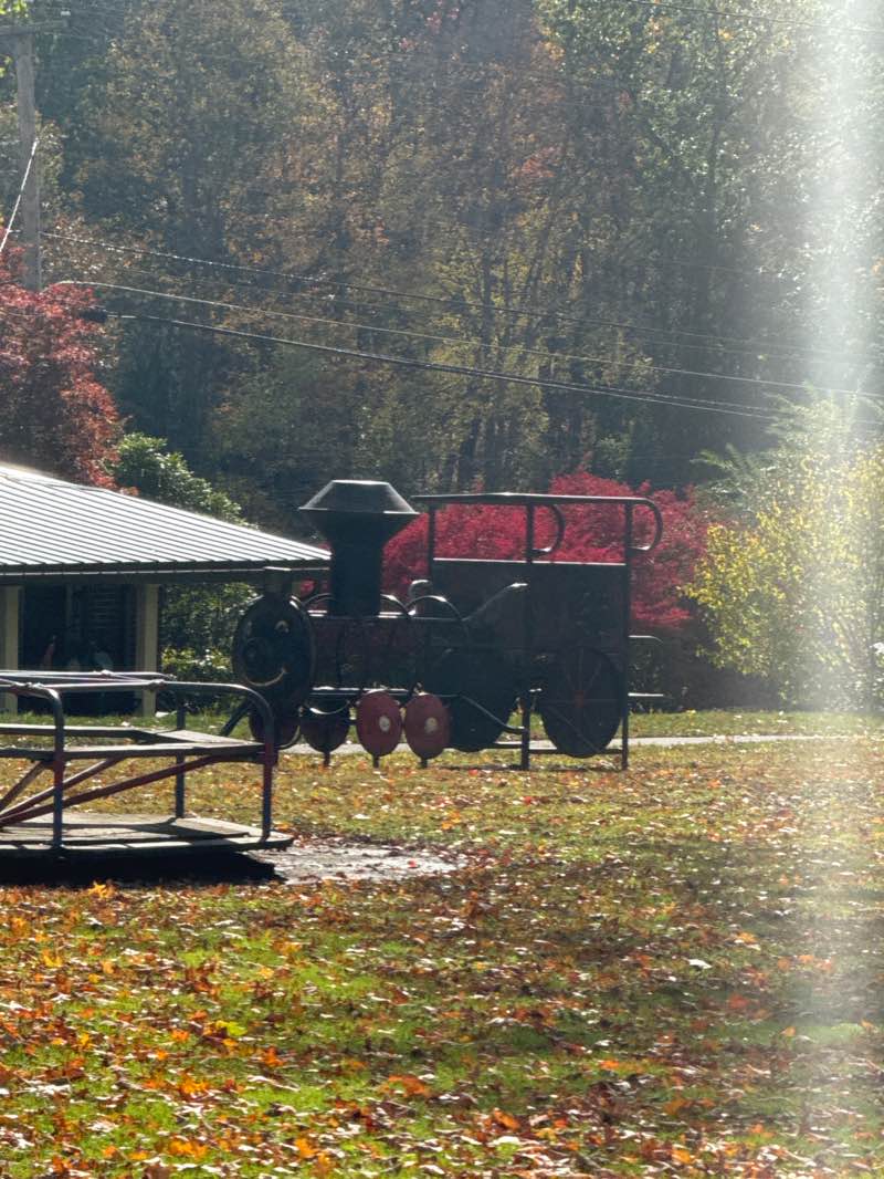 walking near me in Owen's Grove in autumn