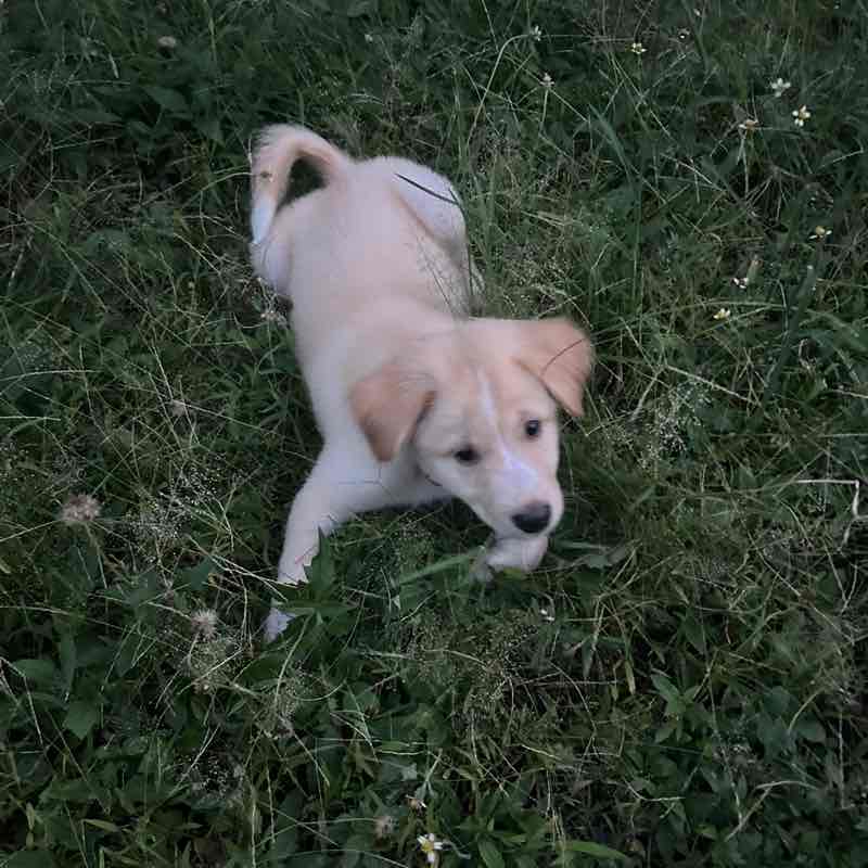 San Pyait Aung post 2