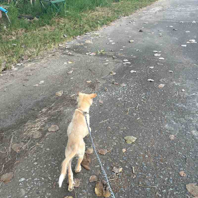 San Pyait Aung post 2