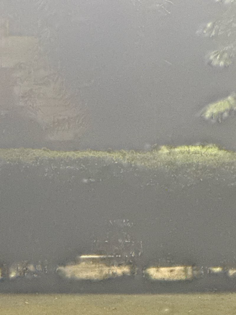 walking near me in Seemanjay Park in winter