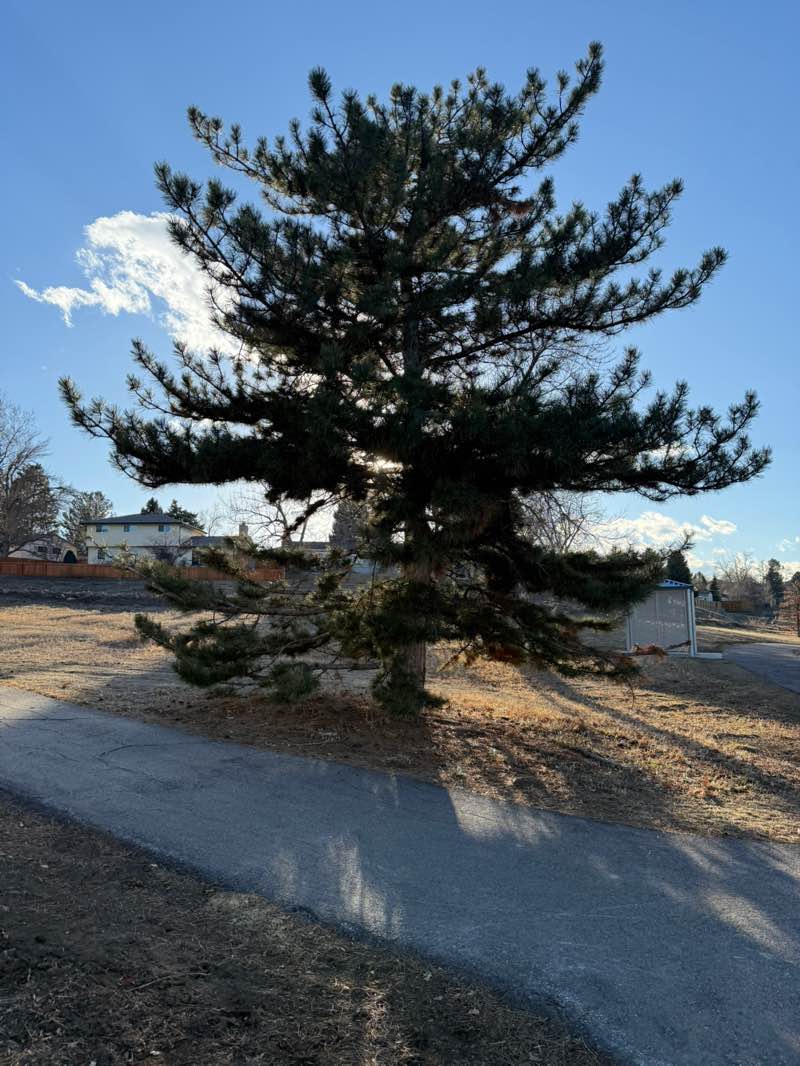 walking near me in Little Dry Creek Park in winter