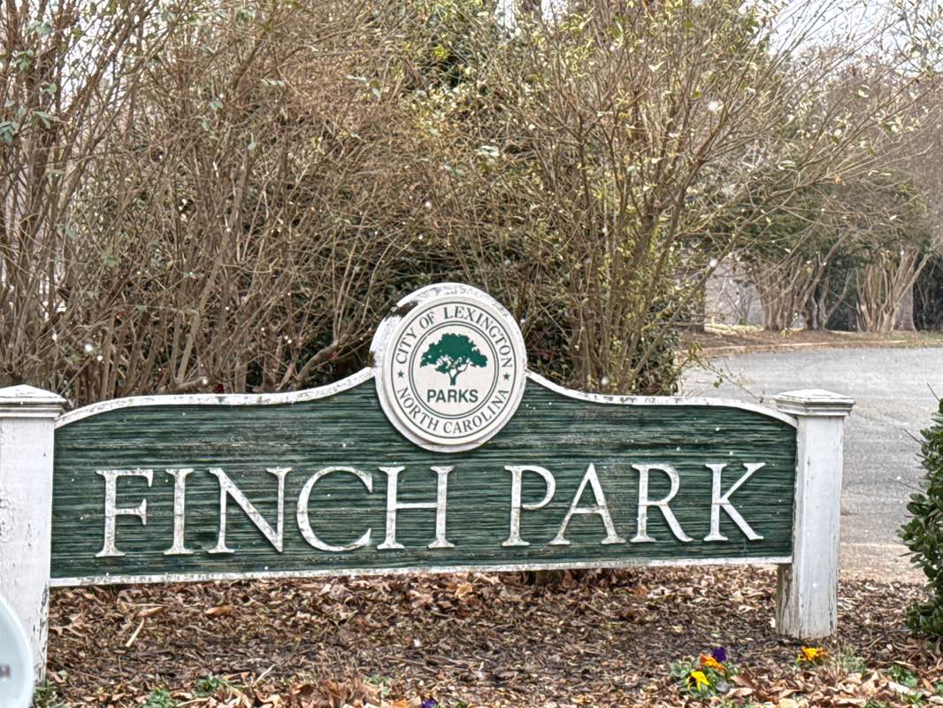 walking near me in Finch Park in winter