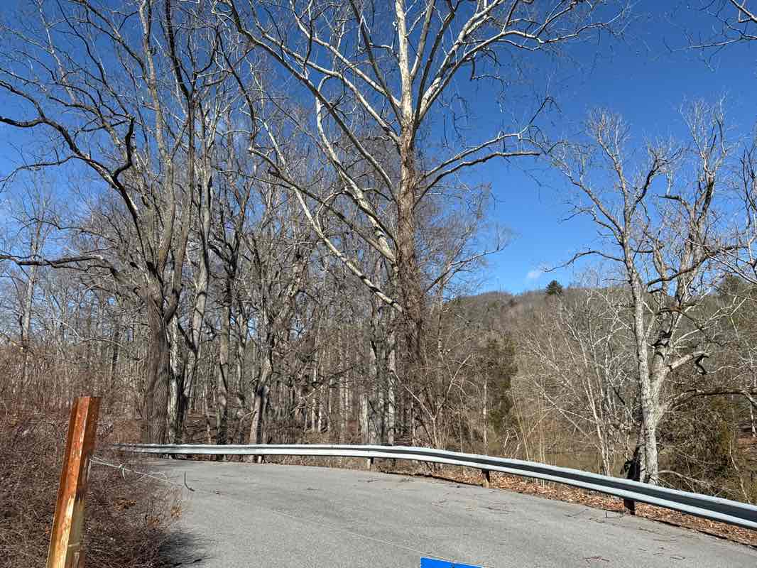 walking near me in Carter Wayside park in winter