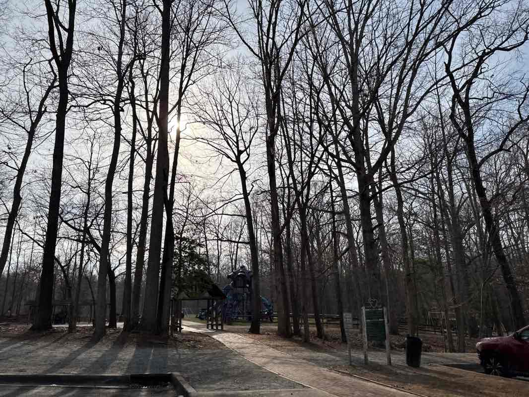 walking near me in Finch Community Park in spring