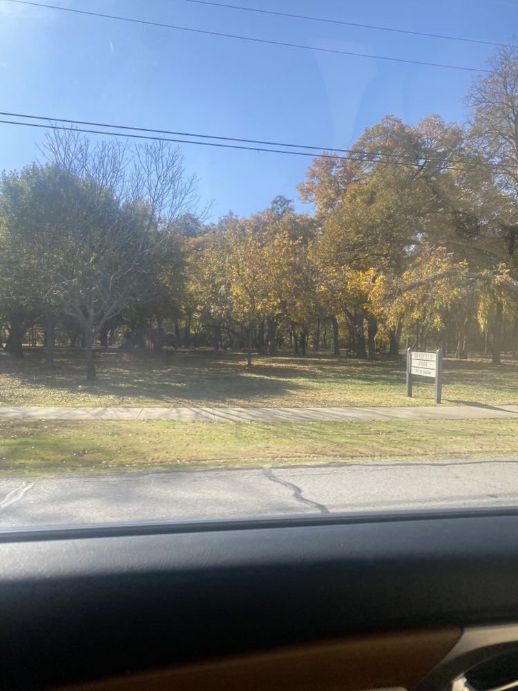 walking near me in Bradfield Park in autumn