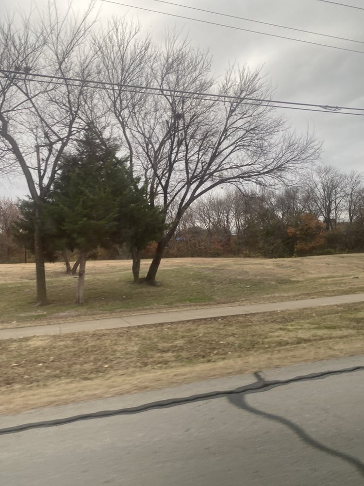 walking near me in Bradfield Park in winter