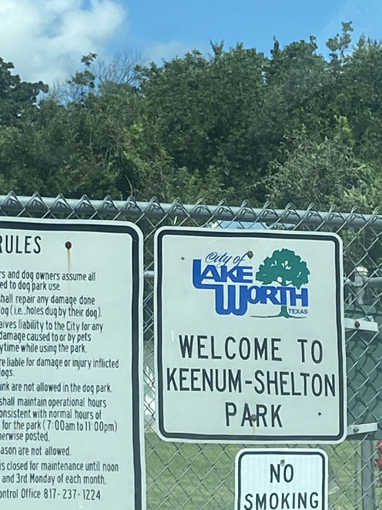 walking near me in Lake Worth Dog Park in summer