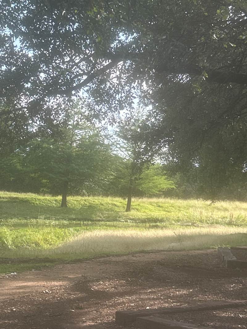 walking near me in Wolf Ranch Park in summer