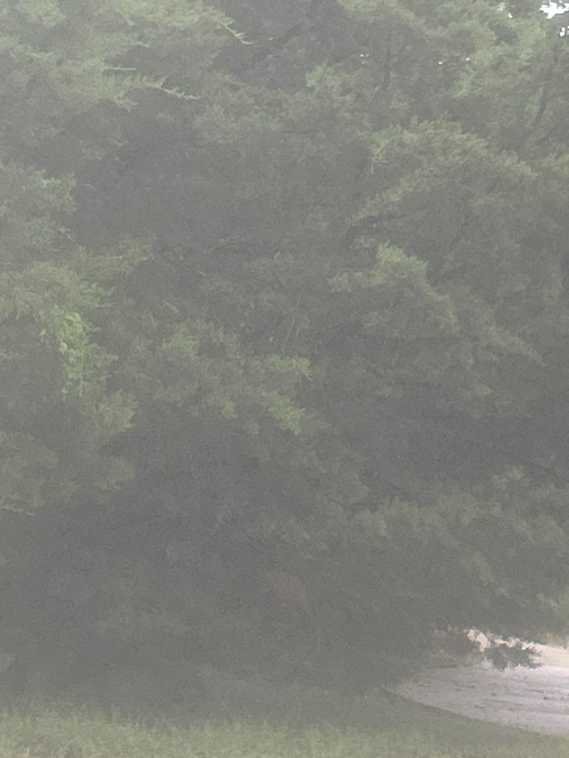 walking near me in Creek Park in summer