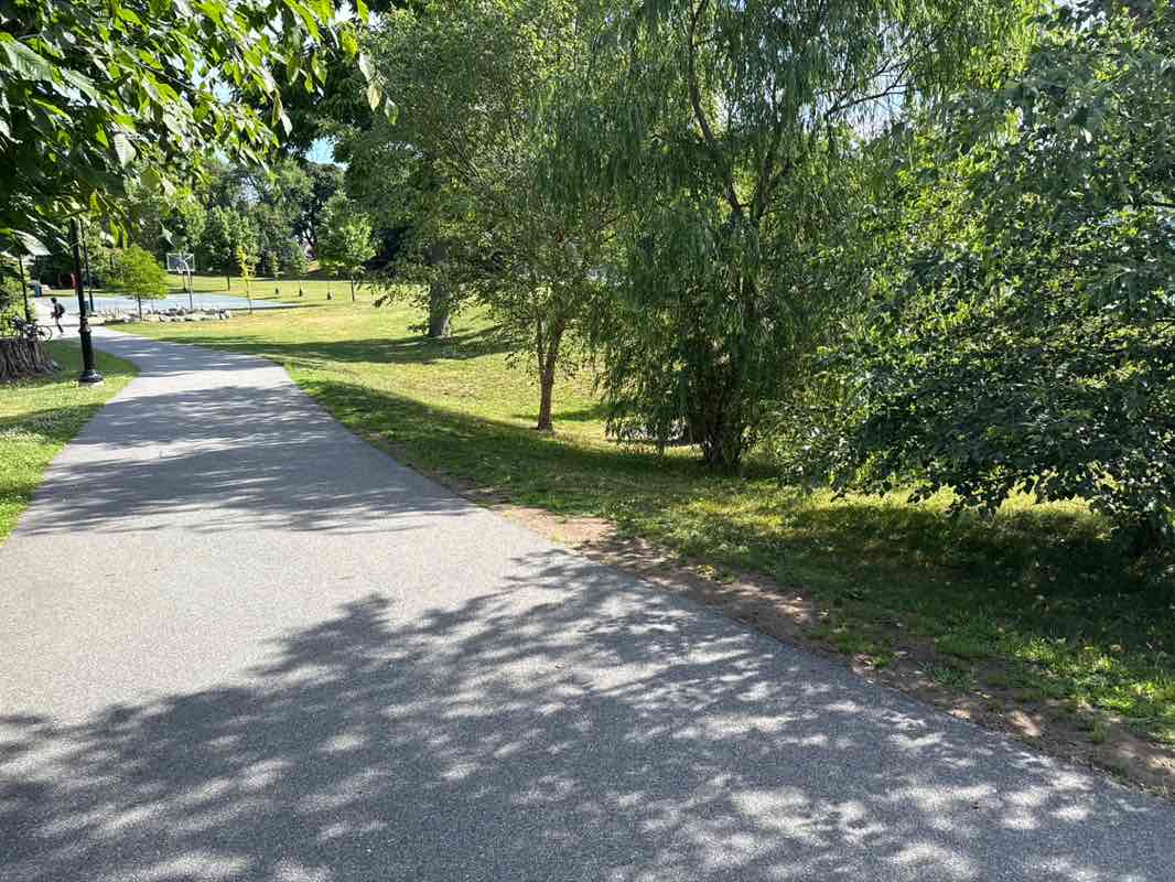 walking near me in Coytemore Lea Park in summer