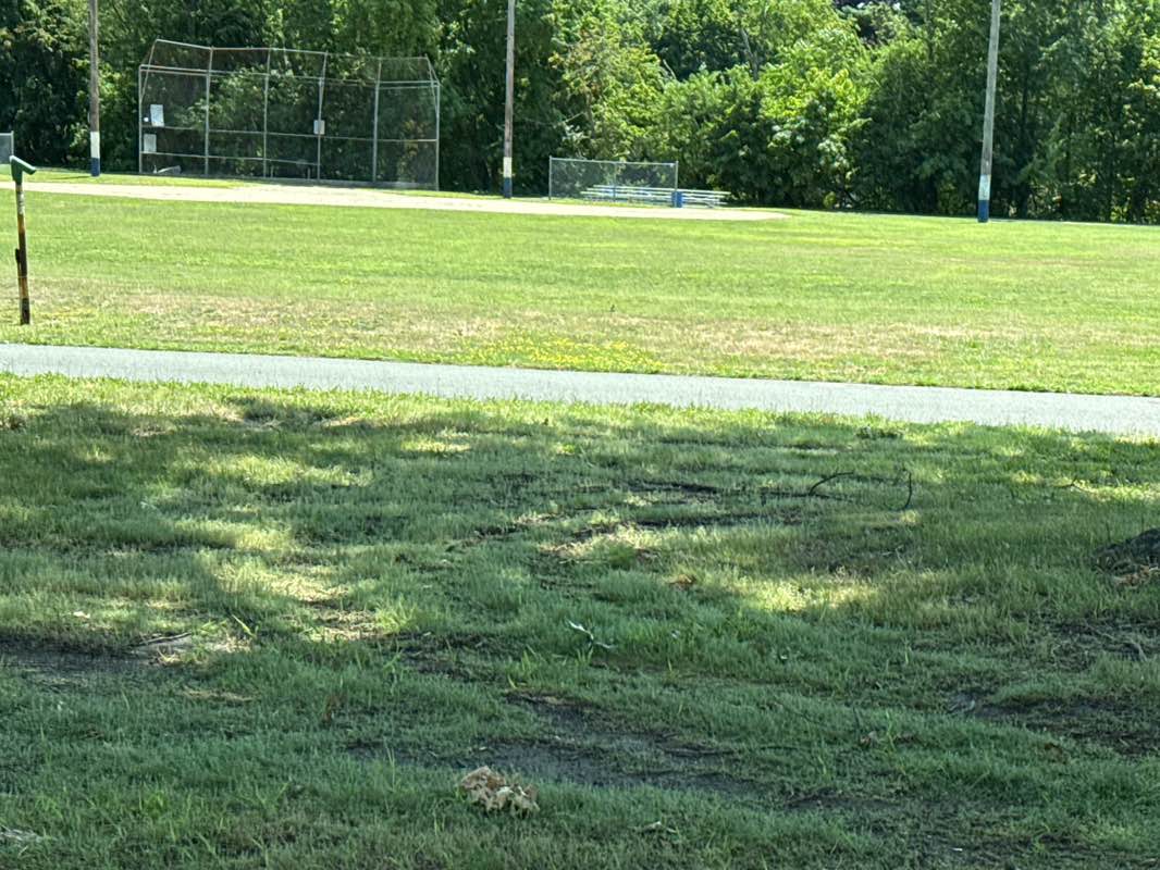 walking near me in Veterans Memorial Park in summer