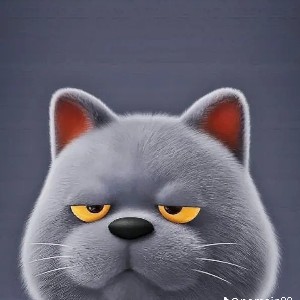 khitty profile