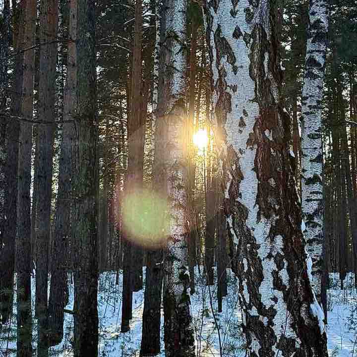 Алия «74» post 2