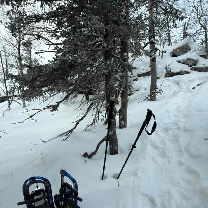 Алия «74» post 2