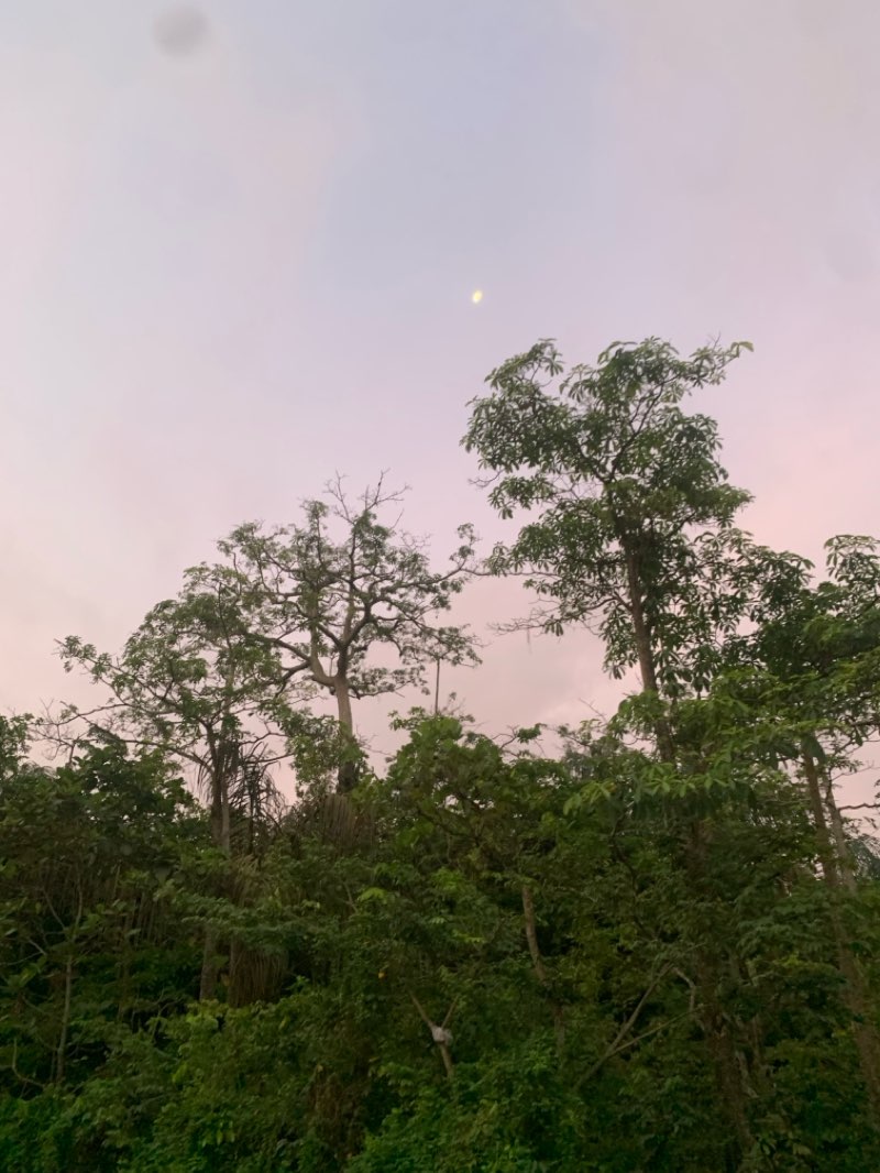 walking near me in Lekki Conservation Center in winter