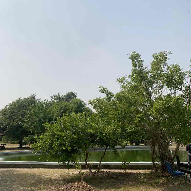Elohor post 1