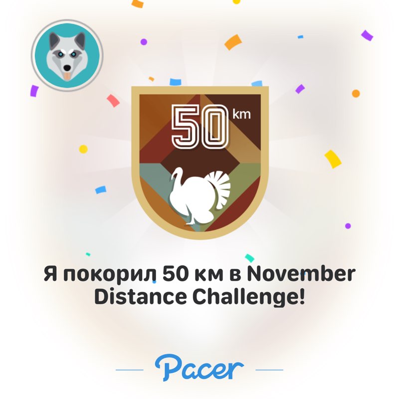 VDK-SPB Екатерина post image