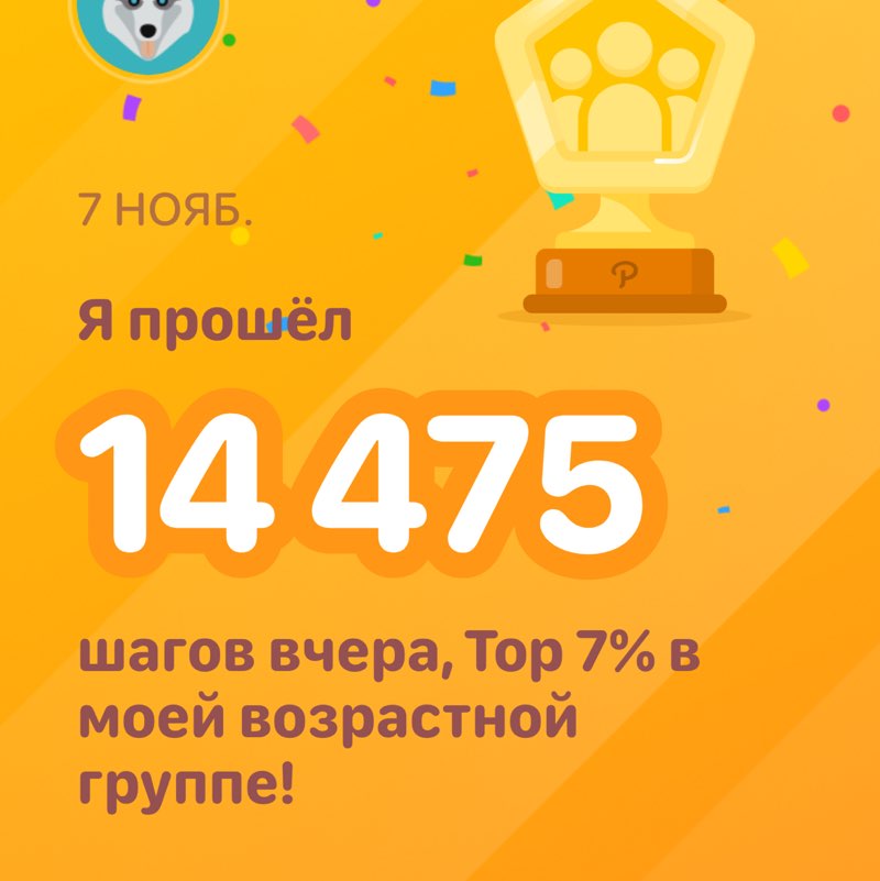 VDK-SPB Екатерина post image