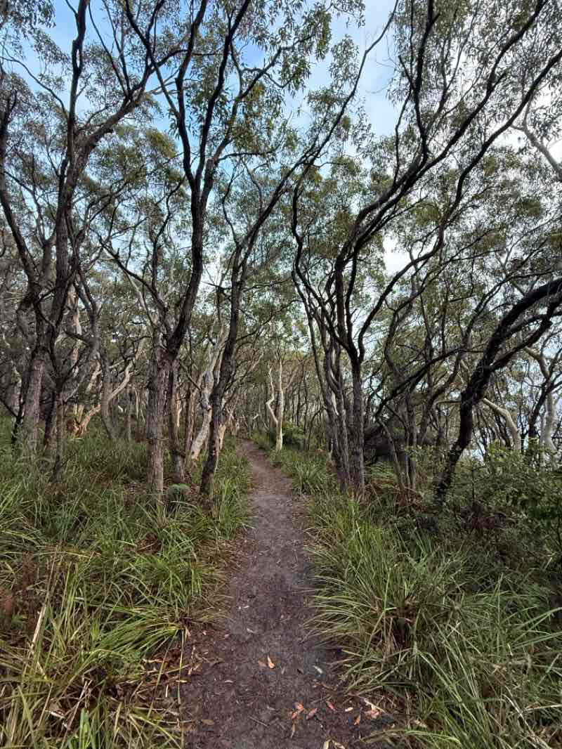 walking near me in Jervis Bay National Park in autumn